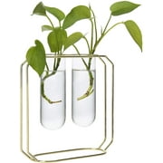 Gold KATHNEY Metal Bud Glass Vases for Decor Small Plant Propagation Stations Hydroponic Test Tube Terrarium Set of 2 Gold KATHNEY Metal Bud Glass Vases for Decor Small Plant Propagation Stations Hydroponic Test Tube Terrarium Set of 2